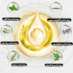 دستبند دفع حشرات مدل b2 تک کپسولی